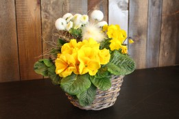 Heller Frühlingskorb mit Kücken