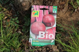 Rote Rübe Bio