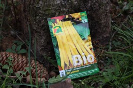 Stangenbohne, gelb, Bio